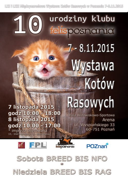Międzynarodowa Wystawa Kotów Rasowych Poznań 07-08.11.2015r