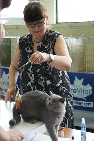Udany debiut Gregora na wystawie w Krakowie! :)