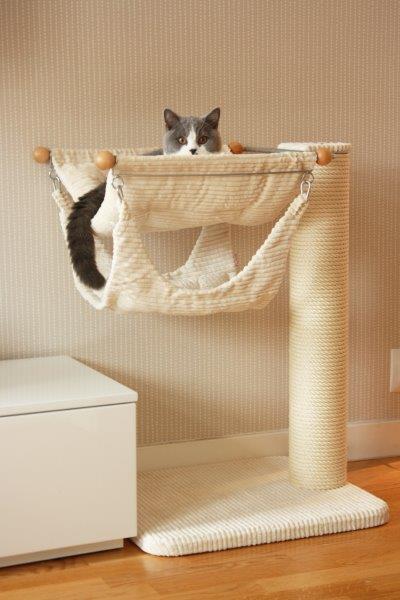 Seminarium Polskiej Federacji Felinologicznej Poznań 2016′