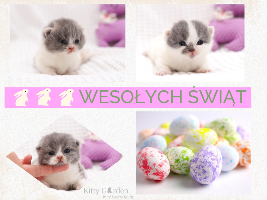 Wesołych Świąt Wielkiej Nocy!